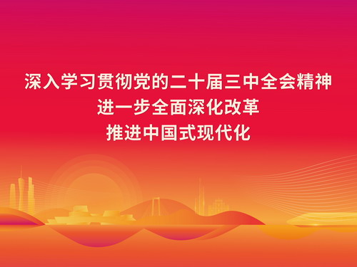 学习宣传贯彻党的二十届三中全会精神宣传海报